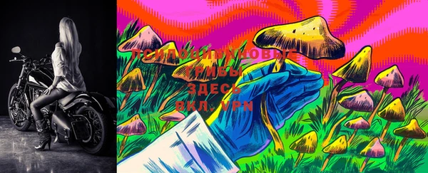 MDMA Premium VHQ Михайловск