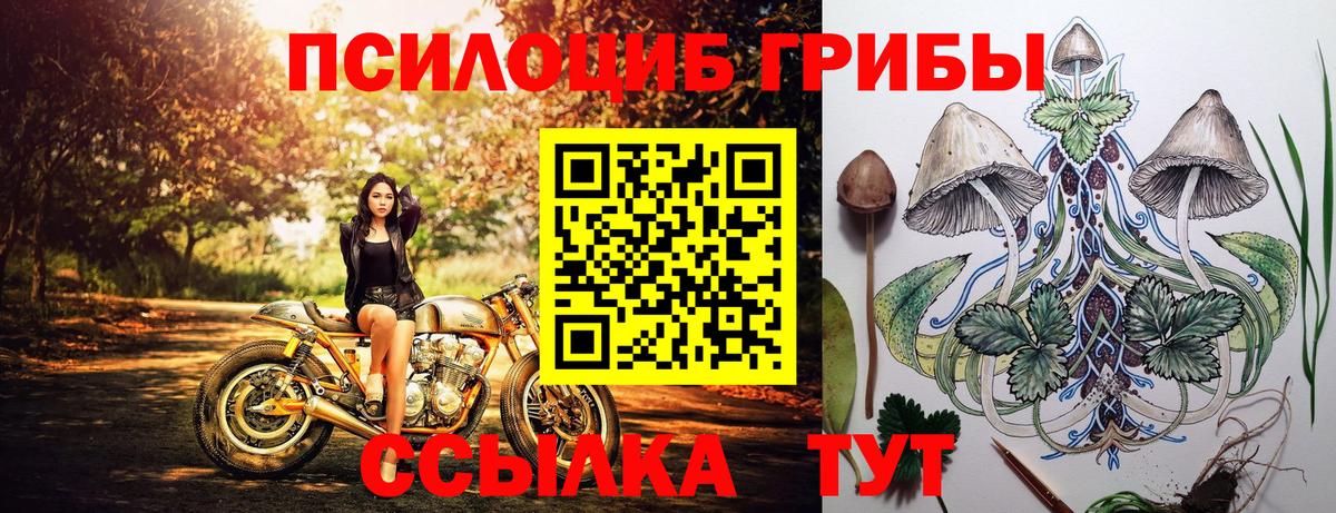 Галлюциногенные грибы Cubensis Коммунар
