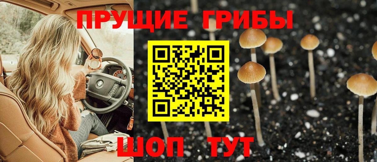 Псилоцибиновые грибы Cubensis  Коммунар 