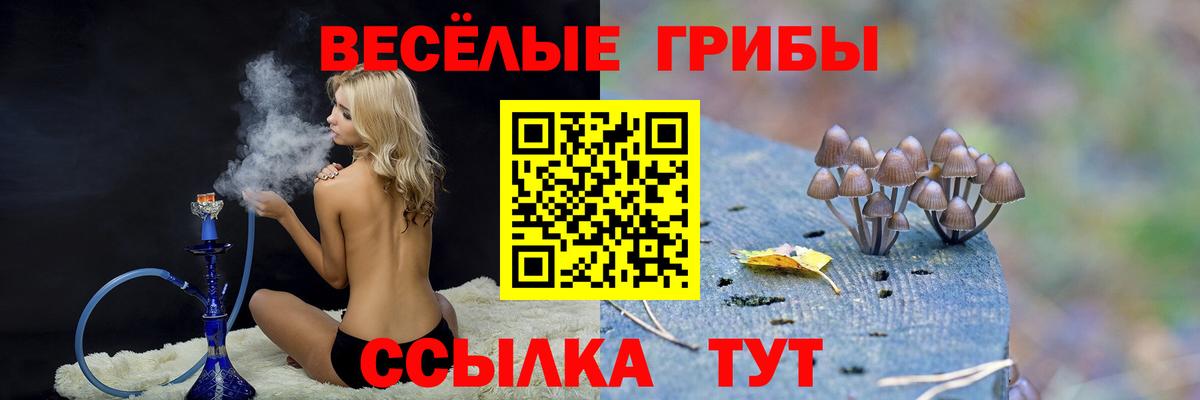 Коммунар  Псилоцибиновые грибы GOLDEN TEACHER  Вход с VPN  Псилоцибиновые грибы Psilocybine cubensis 